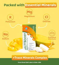 Ultra Lyte SaltyBoost Mango Sachets - Ultra Lyte